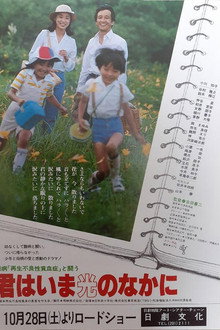 Fighting Against The Incurable Disease Aplastic Anemia – Now You Are In The Light poster