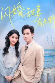 闪婚甜妻有点野 poster