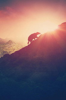 Rise of the Mammals