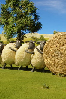 Hay Bale