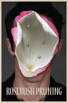 Rosebush Pruning poster