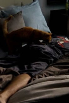 The Girlfriend Experience