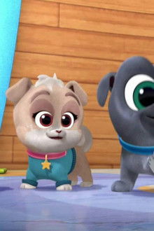 Welcome to Puppy Playcare!