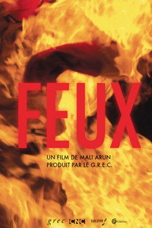 Feux poster