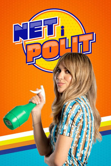 Net i polit poster