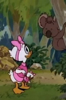 Back Out in the Outback