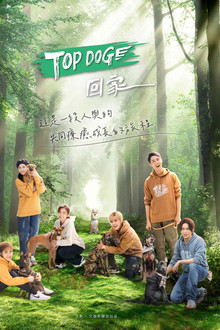 TOP DOG poster