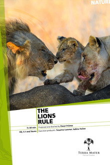 The Lions Rule poster