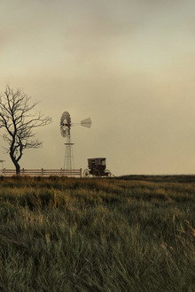 The Amish: Shunned