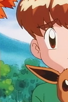 The Battling Eevee Brothers