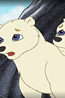 The Great Polar Bear Rescue