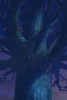 Spirit Locust Branch