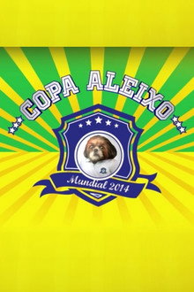 Copa Aleixo 2014 poster