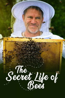 The Secret Life of Bees poster