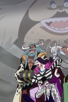 Marco! The Keeper of Whitebeard's Last Memento!