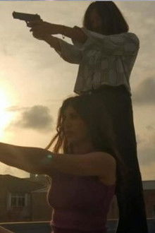 En casa: Mira este vídeo de gatitos poster