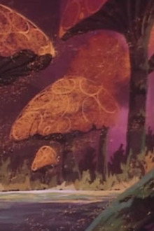 Phantoms of Life and Death