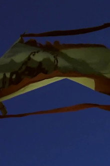 Episode 70