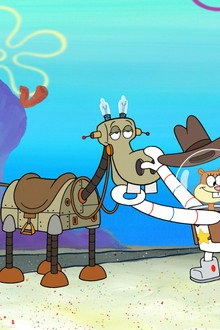 How the West Was Dumb