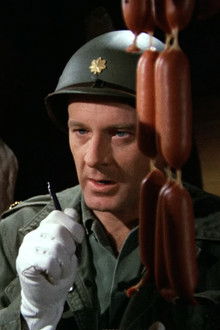 The Novocaine Mutiny