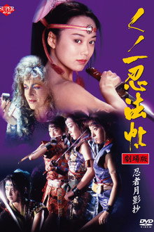 Lady Ninja: Reflections of Darkness poster