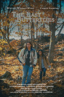 The Last Butterflies poster