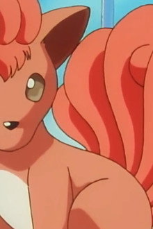 Pokémon Fashion Flash