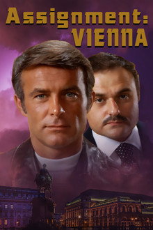 Assignment: Vienna poster