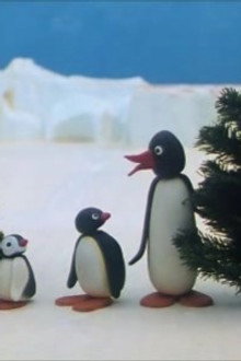 Pingu's Family Celebrate Christmas