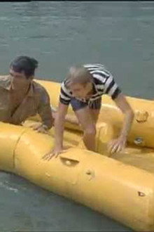 Shark Hunt