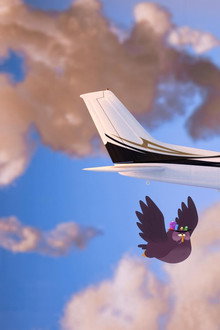 How Do Airplanes Fly?