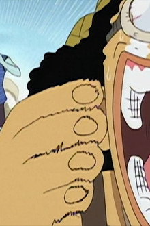 Proud Warriors! Sanji and Usopp's Fierce Battles!