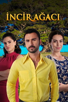 İncir Ağacı poster
