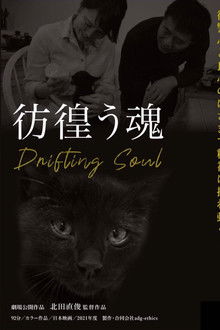 Drifting Soul poster