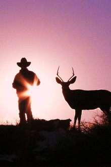 Touching the Wild