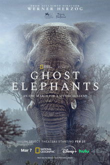 Ghost Elephants poster