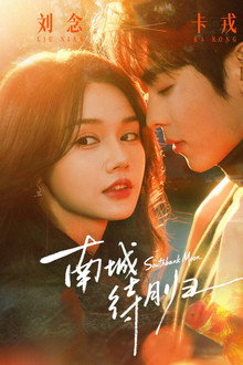 South City Love Story poster