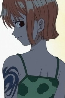 Witch of Cocoyashi Village! Arlong's Female Leader!