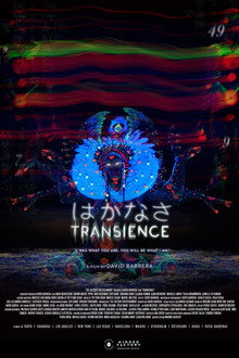Transience poster