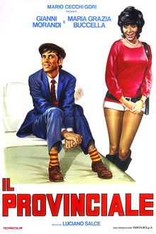 Il provinciale poster