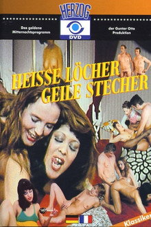 Heiße Löcher - Geile Stecher poster