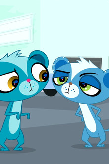 Lights, Camera, Mongoose!