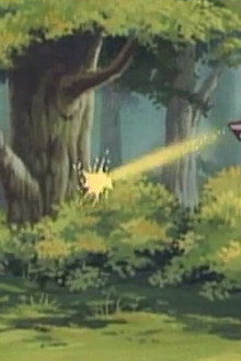 Duel of the Wizards