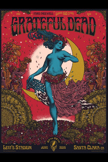 Grateful Dead: Fare Thee Well - 50 Years of Grateful Dead (Santa Clara) poster