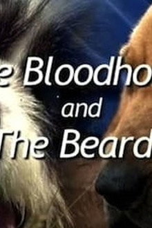 The Bloodhound and the Beardie