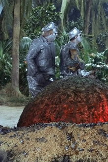 Meet the Meteor