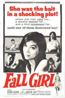 Fall Girl poster