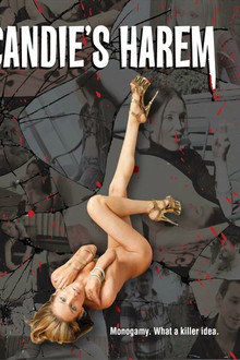 Candie's Harem poster