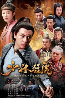 Tiger Kung Fu of Wulin poster