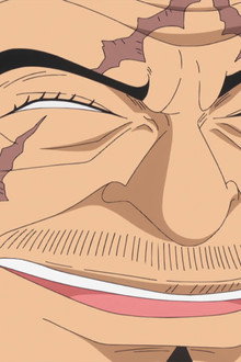 No Way Out! Admiral Fujitora's Ruthless Pursuit!